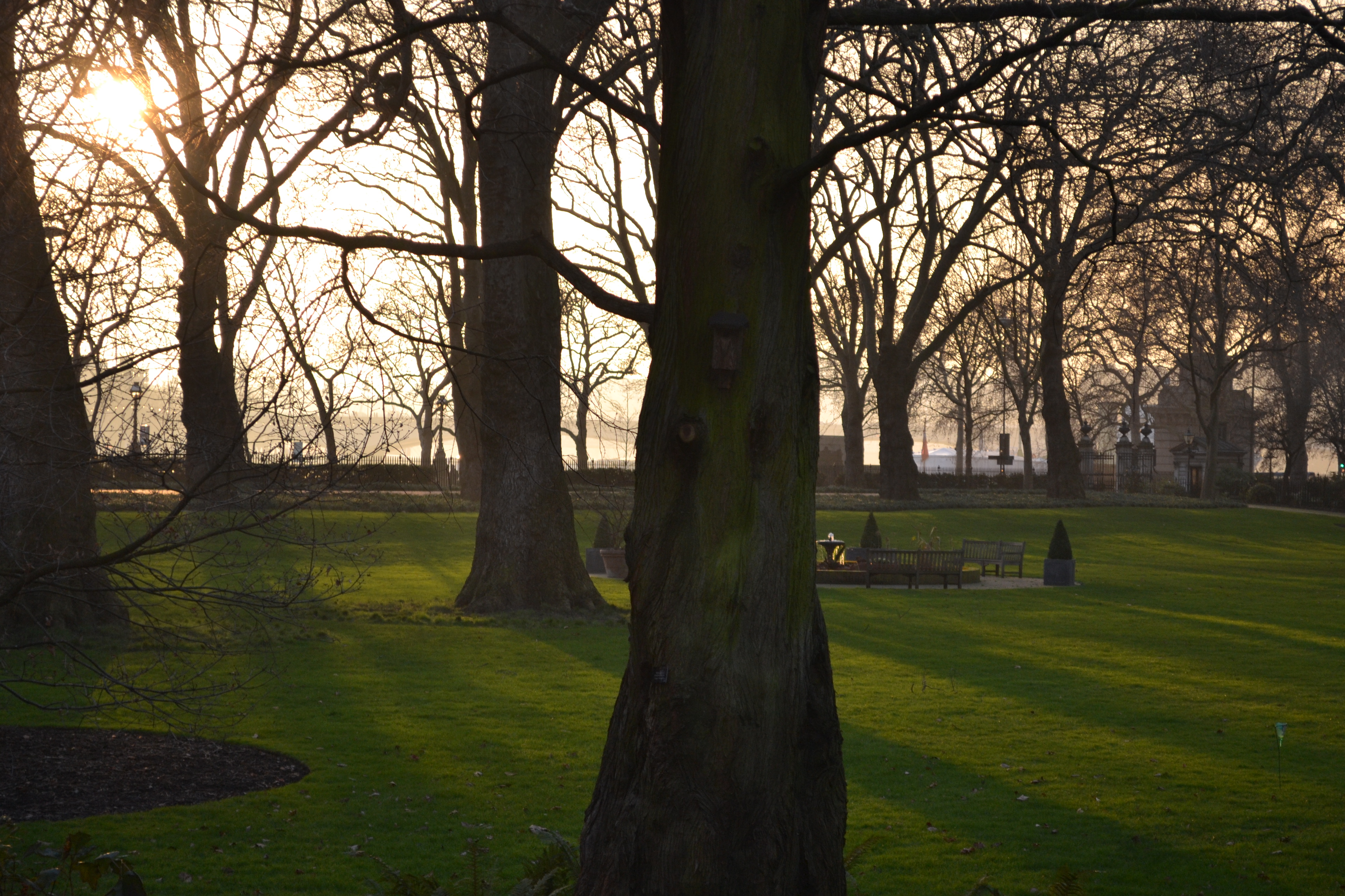 Inner Temple Gardens