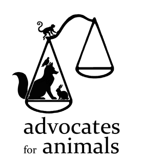 Podcast: An Overview of Animal Protection Law - Chambers Student Guide