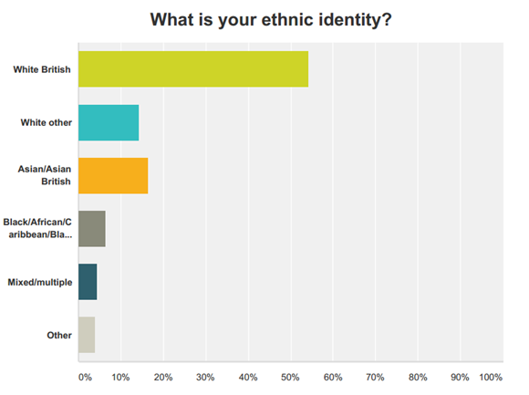 Survey - ethnicity